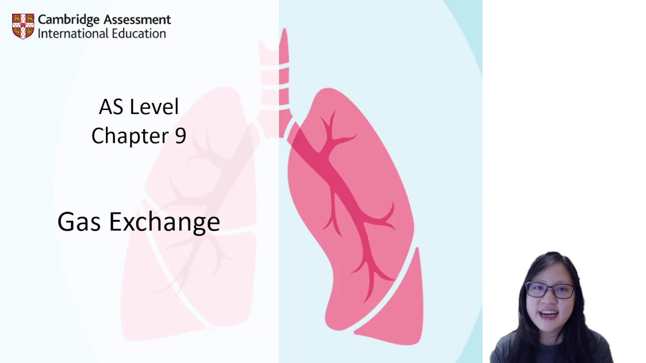 Chapter 9 - Gas Exchange | Cambridge A-Level 9700 Biology