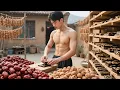 Download Lagu Ancient Chinese Superfood: Witness the Making of Our Homemade Ejiao Delicacy