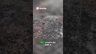 A clip from a video we made while on Barbuda, lint to episode is in the description below.