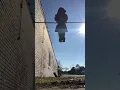 Download Lagu 13 year old doing freestyle calisthenics in P J’s