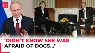 'Angela, please forgive me…': Putin apologises to ex-German Chancellor Merkel for dog incident