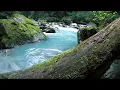 Download Lagu VIDEO RELAKSASI SUNGAI DAN SUARA AIR BERIAK