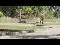 Gunman opens fire on Houston drivers