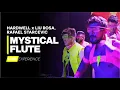 Hardwell x Rafael Starcevic \u0026 Liu Rosa - Mystical Flute (DJ Feeling Live Experience)