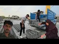 Download Lagu De uitstekende voortgang van Jamshid, het einde van het tegelwerk en het geluk van het gezin