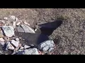 Newly released images reveal illegal dumping incident in Montgomery County