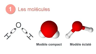 3 Min Ch1 The Molecules 