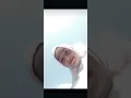 Download Lagu Notifikasi WhatsApp, Cewek Cantik,, 😍😍 #notification #notificationringtone #cewekcantik