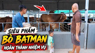 SIÊU PHẪM BÒ BATMAN 880KG ĐÃ HOÀN THÀNH NHIỆM VỤ – HY VỌNG SỚM CÓ BÊ CON!