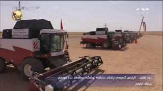 الرئيس السيسي يشهد بدء موسم حصاد القمح في توشكى 