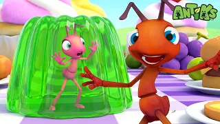 Boo Gets Stuck in Giant Jelly! 🍮 ANTIKS | Animal Adventures for Kids