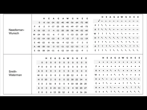 Pairwise Sequence Alignment (part 3)
