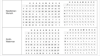 Pairwise Sequence Alignment part 3