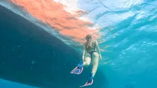 ⛵️CARIBBEAN: Dream vs Reality!! 🤯 Ep.279