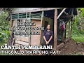 Lagu Dikira KAMPUNG MATI Ternyata Ada Wanita Cantik Tinggal Di Tengah Hutan Sekelilingnya Rumah Kosong