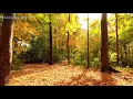 Download Lagu Autumn in Melbourne  (Guitar Solo)