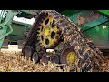Download I got the Combine Stuck on a Hill mp4 3gp mp3 videos - waplic