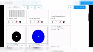 Turtle Race Python Project