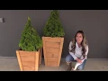 Build your own Tall Wood Planters