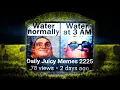 rest in piss dank memes