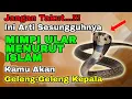 Download Lagu Ini Arti Sesungguhnya!!! Arti Mimpi Ular menurut Islam, digigit ular, melihat ular banyak