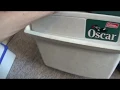 Vtg 1981 16 Qt Oscar by Coleman Cooler Off White Green Made in USA