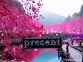 Download Lagu Asahan bunga sakura