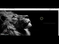 Text Portrait Effect using HTML CSS