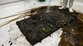 A GARDEN Was Growing Out of This Rug… Wait Until You See What’s Underneath!