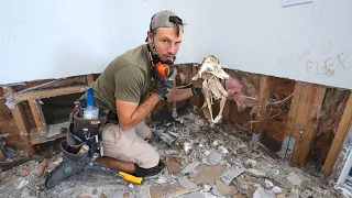 This was not the plan…