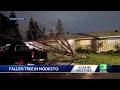 Northern California Storm Impacts Updates at 11 p m on January 31 2024