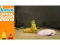 Download Lagu [Official] Gum 1 - Larva Season 1 Episode 05