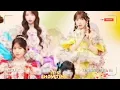 SWEET STEADY新曲が衝撃！「ガーベラの花のように」ライブ映像公開