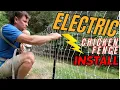 Installing An Electric Chicken Fence