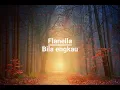 Download Lagu Bila engkau - Flanella || Lirik lagu populer