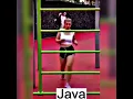 Java vs C vs JavaScript vs python