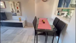                     دندنها