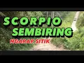 Download Lagu scorpio sembiring | ngarap sitik (lagu karo lama)