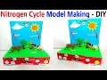 nitrogen cycle model making - diy