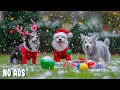 Lagu 12 HOURS of Dog TV for Dogs to Watch 🐶Separation Anxiety Relief \u0026 Deep Sleep Music for Dogs