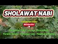 Download Lagu INSTRUMEN SHOLAWAT JIBRIL PENGANTAR TIDUR