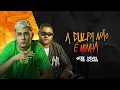 MC JACARÉ, MC KEVIN O CHRIS - A CULPA NÃO É MINHA