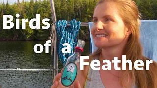 Birds of a Feather (Calico Skies Sailing Ep. 35)