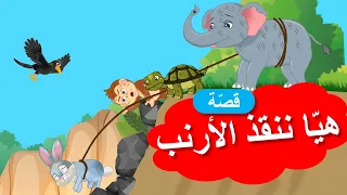 زاد الحكايا قصص اطفال هيا ننقذ الأرنب 