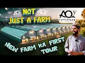 Download Lagu First TOUR of NEW Farm || Farm Ya Factory? AQ Cattle Farm