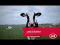 Download Lagu Lely Solutions - Dutch