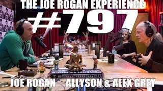 Joe Rogan Experience - Alex Allyson Grey