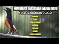 Lagu MASTERAN MURAI BATU MEMANCING GACOR TEMBAKAN MEWAH FULL ISIAN SIAP BUAT LOMBA