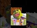SHREK slay