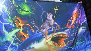 SAOLUIS Tapestry GLOW Quick Review - Funny AI Wall Art